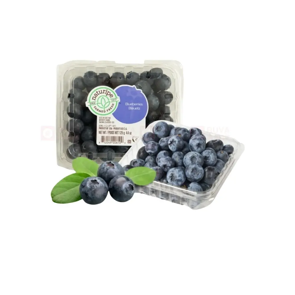 Bluberry Mỹ Dịch vụ EB hộp 125G - 192