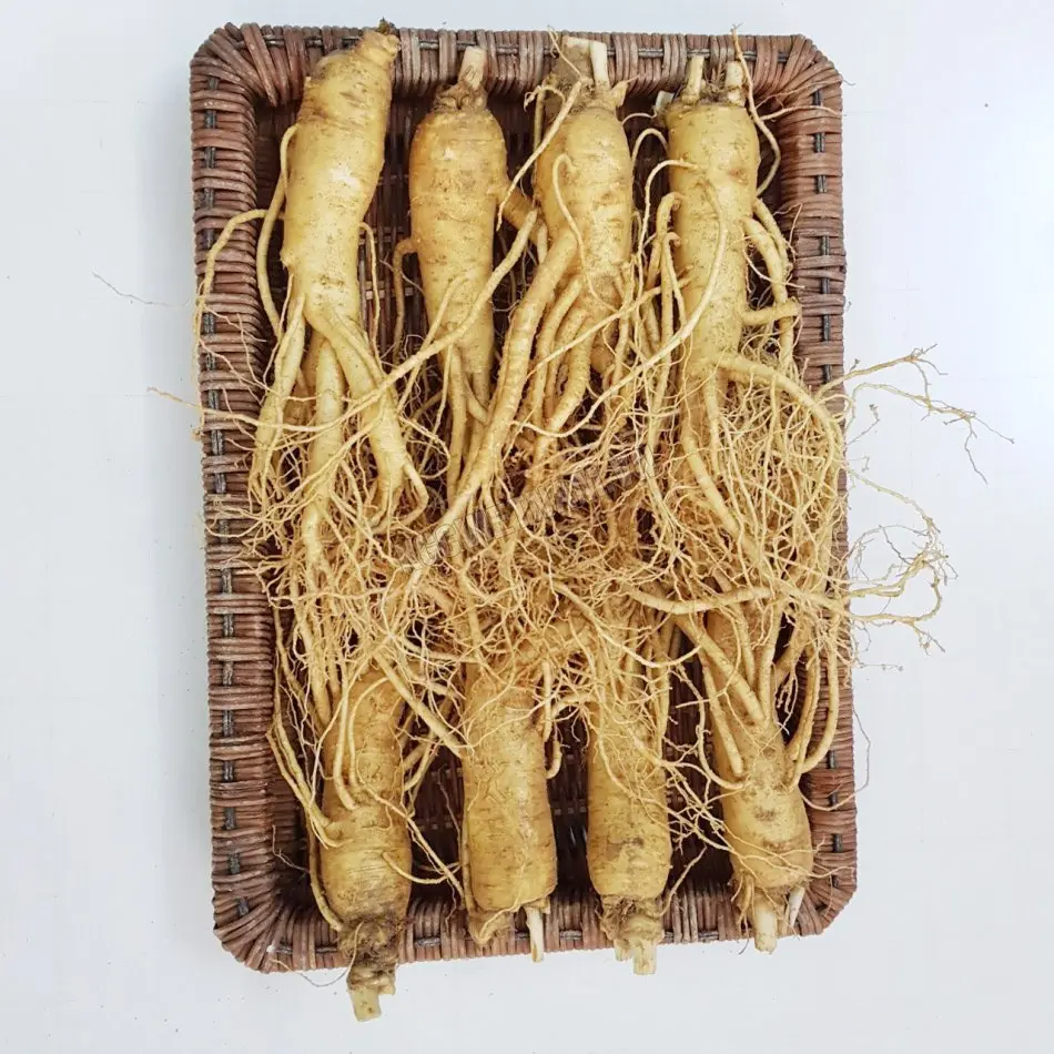Nhân sâm củ Hàn Quốc loại 8 củ/kg